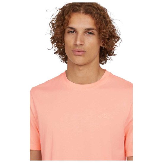 O'neill Ανδρική κοντομάνικη μπλούζα Small Logo T-Shirt